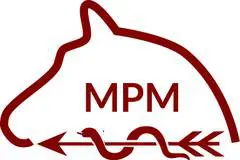 csm_2014mpm-logo_neu_438a249845