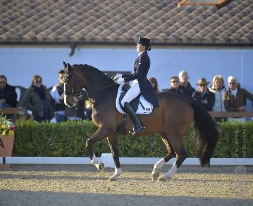 Sir Radjah van Ferrer-Salat overleden featured image