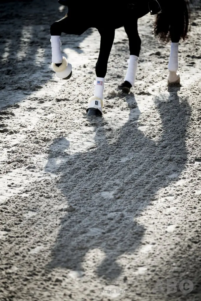 Jos Hogendoorn voert de boventoon in het ZZ-Zwaar featured image