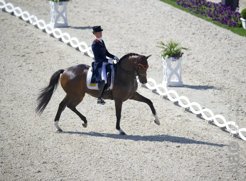 PR en winst voor Adelinde en Zephyr in kür: 76,03% featured image