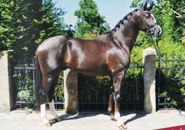 Premie voor Totilas uit Wahajama-Unicef van familie Rath featured image