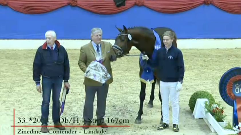 HK OS: KWPN’er Zinedine levert kampioen uit eerste jaargang featured image