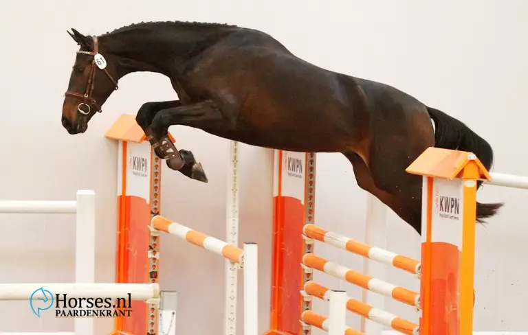 h-61-carembar-de-muze-x-lancelot