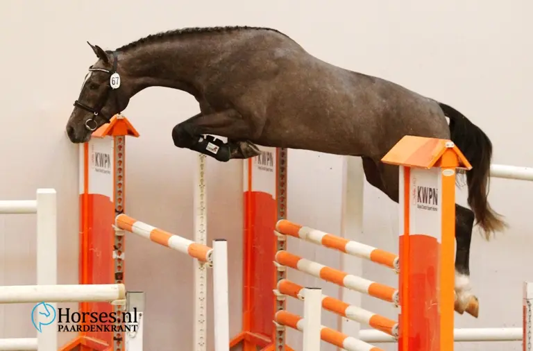 h-67-casall-x-indoctro