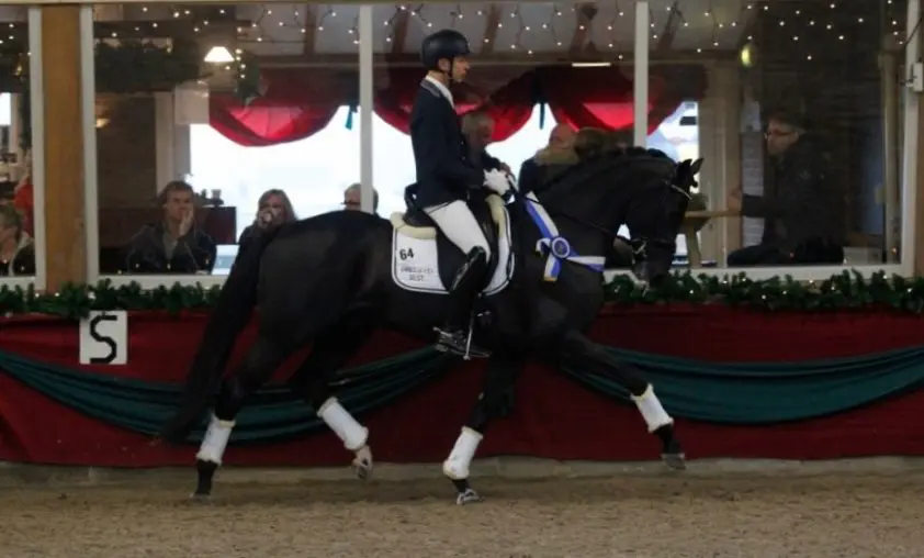Houdini La Haya en Imposant W winnaars Van der Sande Dressuurtalent featured image