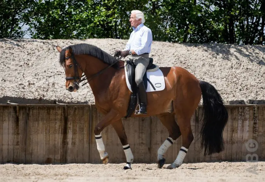 Allround paardenman en klassieke dressuurtrainer John Swaab is niet meer featured image