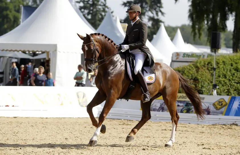 Patrick van der Meer: ‘Om 5 uur baan verkennen was wel vroeg’ featured image