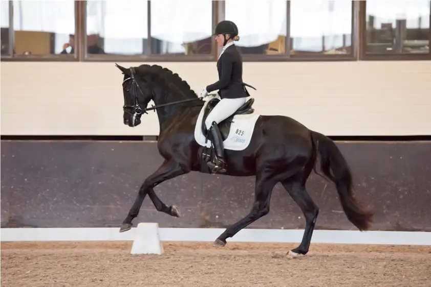 Ivy en Haute Couture dansen naar overwinning in voorronde Horsefood Dressuur Talent featured image