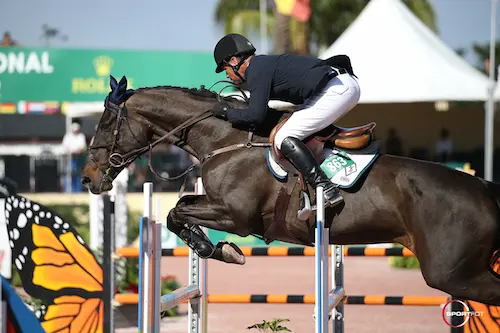 Betagravin en Torano debuteren met overwinning featured image