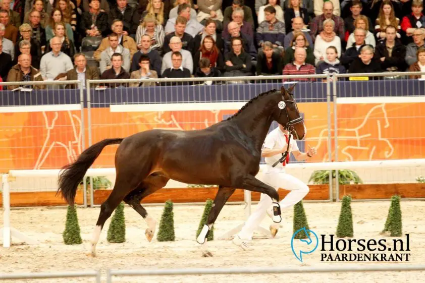 Jazzuan, Fürst Jazz, Ibiza en Ironman in sporttest Münster featured image