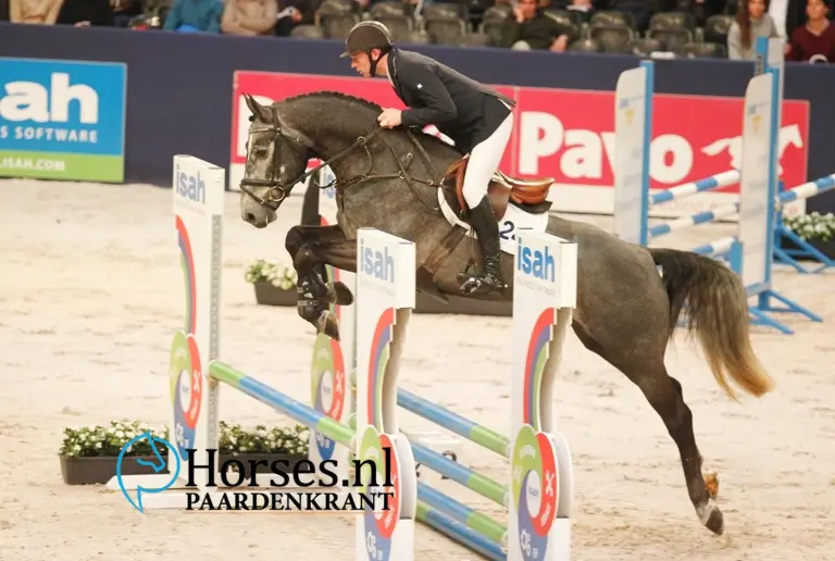 KWPN-hengst Irvington VDL gecastreerd: ‘We hadden geen andere keus’ featured image