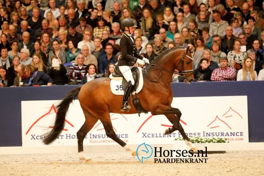 Nieuwe amazones voor KWPN-hengsten In Style, Just Wimphof en Kenzo U.S. featured image