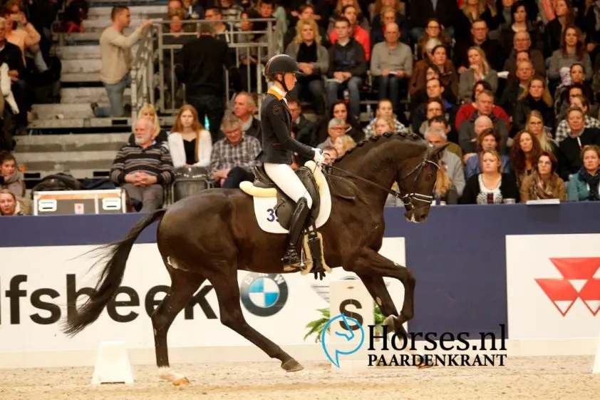 KWPN-hengst Indigro in training bij Edward Gal featured image