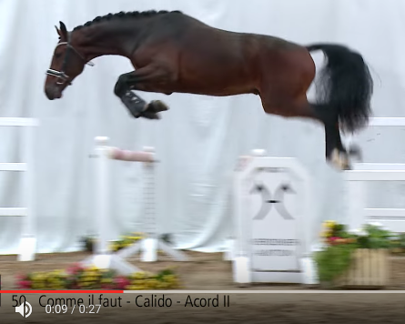 Cornet-bloed bovenaan in sporttest Münster-Handorf featured image