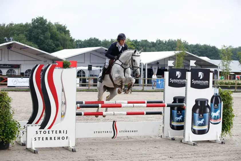 Nu ook springconcours op Stoeterij Sterrehof featured image