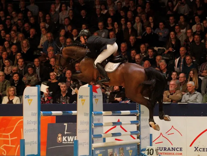 Grandorado wint competitie én finale featured image