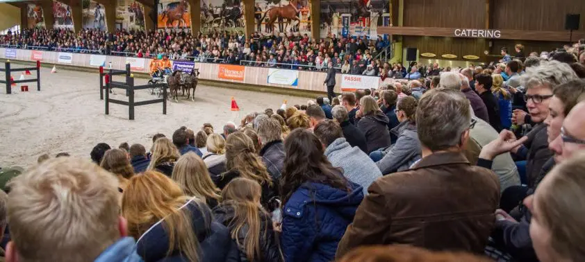 Paard&Koets verhuist naar De Peelbergen featured image
