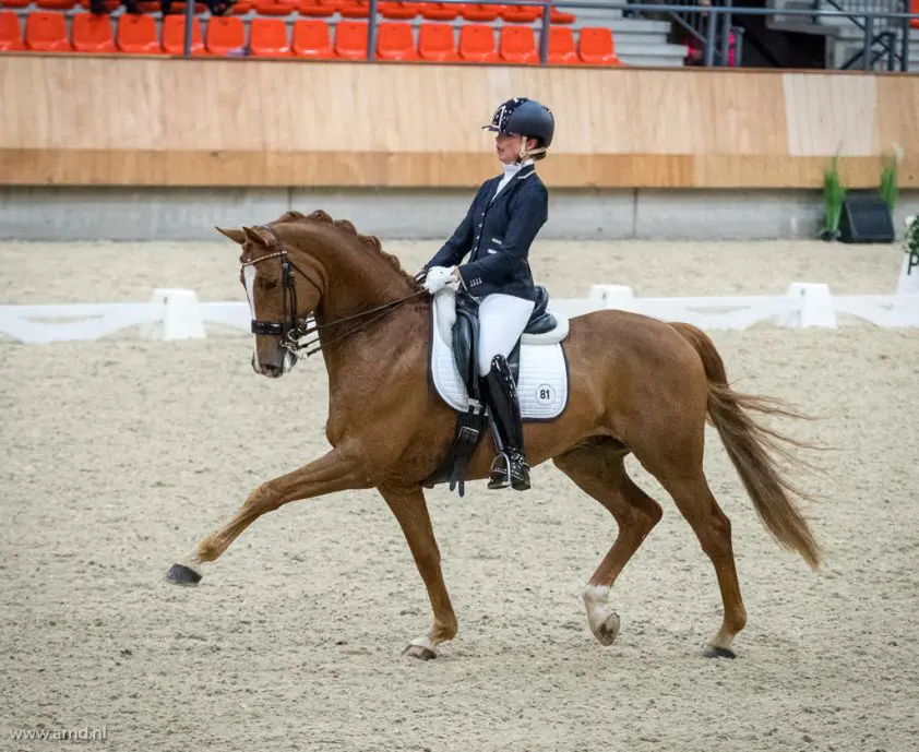 Febe van Zwambagt naar Ferienhof Stücker featured image