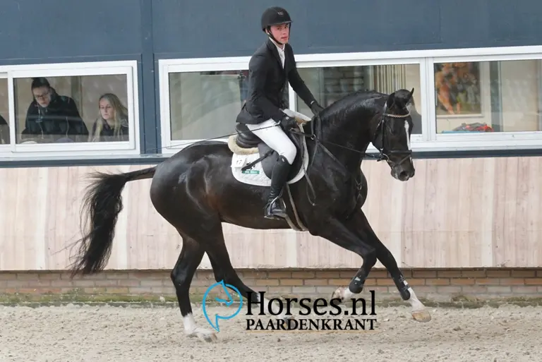 Voorjaarsonderzoek ten einde voor Jefferson VDL featured image