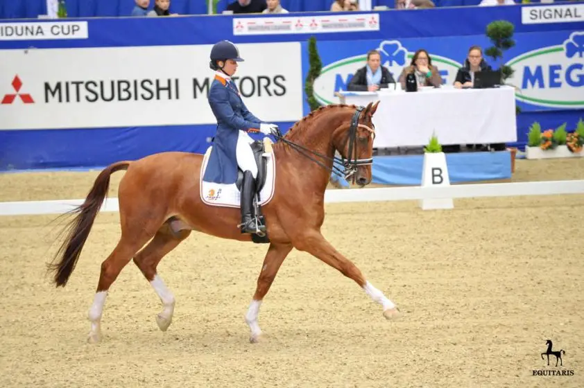 Marjan van der Jagt KNHS Indoor kampioen M1 featured image