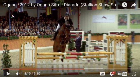 Sporttest: 10 voor vermogen van Ogano Sitte-zoon featured image