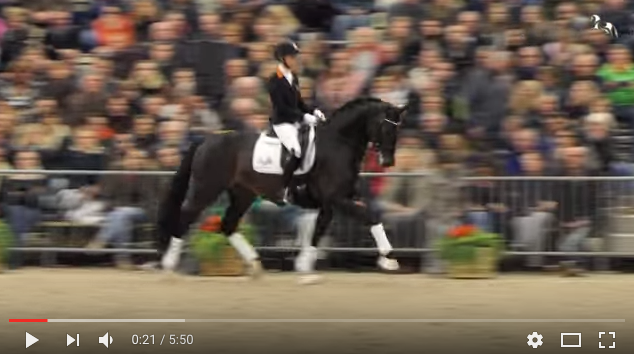 Kirsten Brouwer voortaan in het zadel van Daily Diamond featured image
