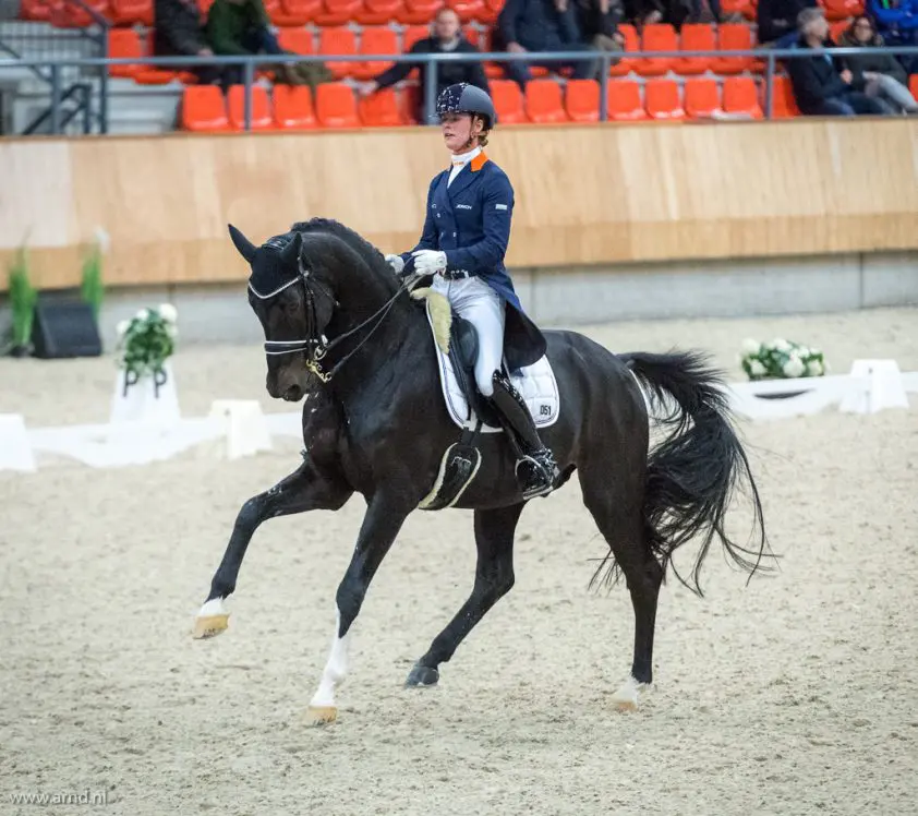 Adelinde: ‘Aqiedo heel fijn gefocust door de proef’ featured image