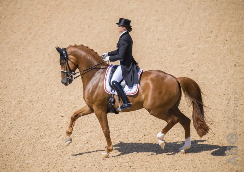 Cathrine Dufour en Bohemian oppermachtig in Grand Prix Special featured image