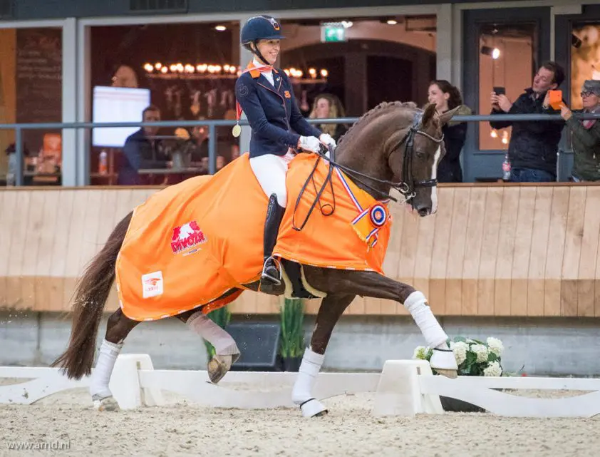 Kirsten Brouwer: ‘Sultan is een kleine Eye Catcher’ featured image