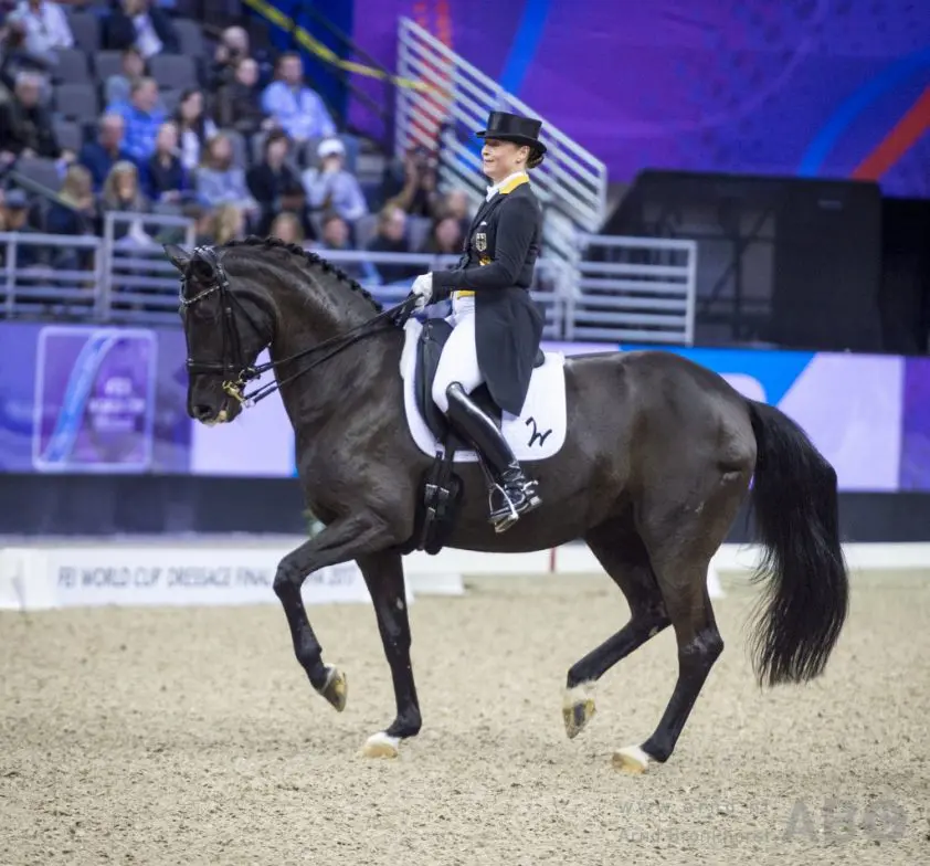 De Wereldbekerfinale Dressuur in Beeld featured image