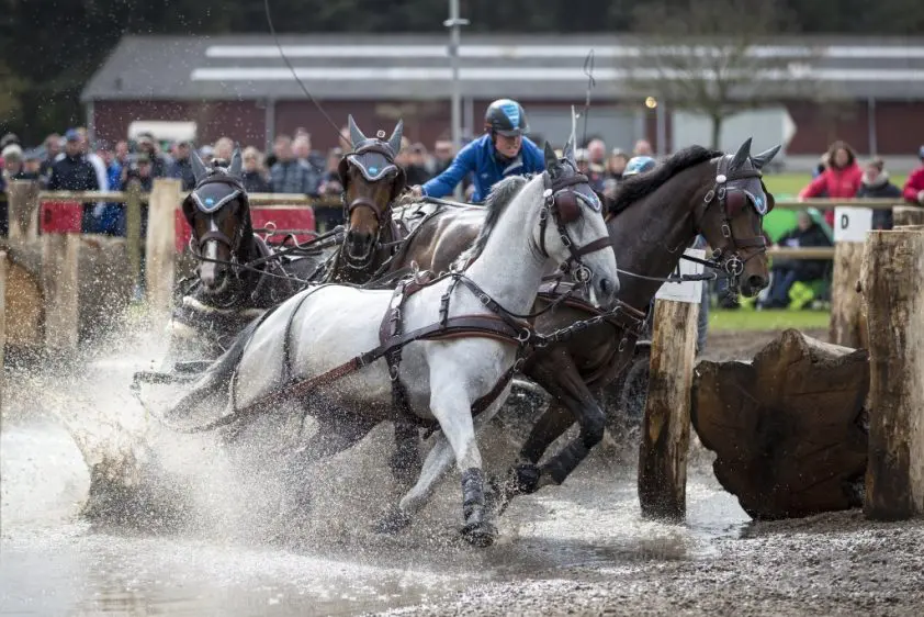 Bram Chardon wint in Boedapest: ‘Plan niet veranderd’ featured image