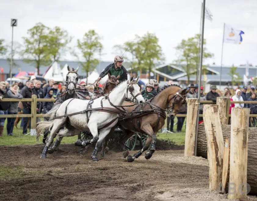 Jurybeslissing nekt Mark Weusthof featured image