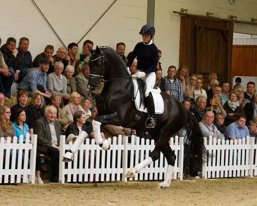 9,5 gemiddeld voor Secret in 14-dagentest featured image