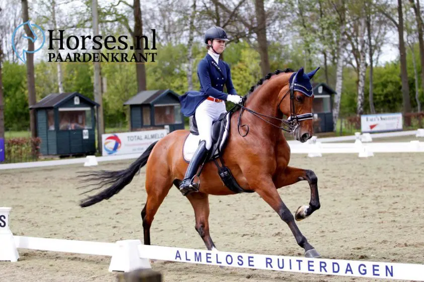 Daphne van Peperstraten weer klasse apart featured image