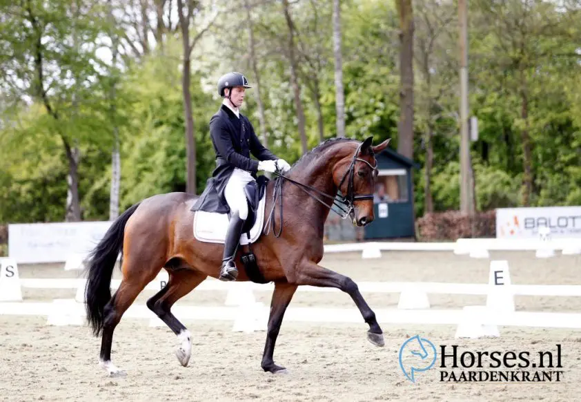 Van Silfhout is Cornelissen de baas in Prix St. Georges featured image