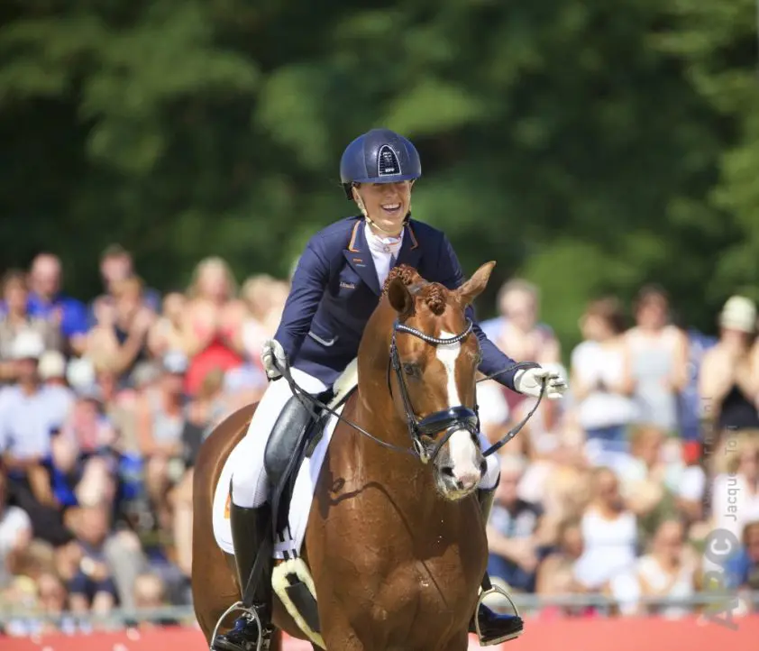 KWPN-hengst Eye Catcher heeft nieuwe ruiter featured image