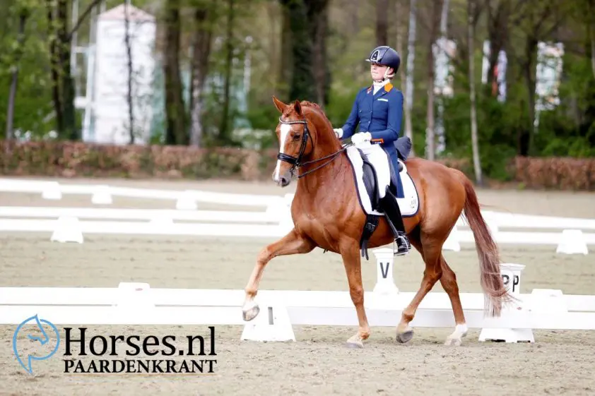 Febe van Zwambagts FS Las Vegas verkocht featured image