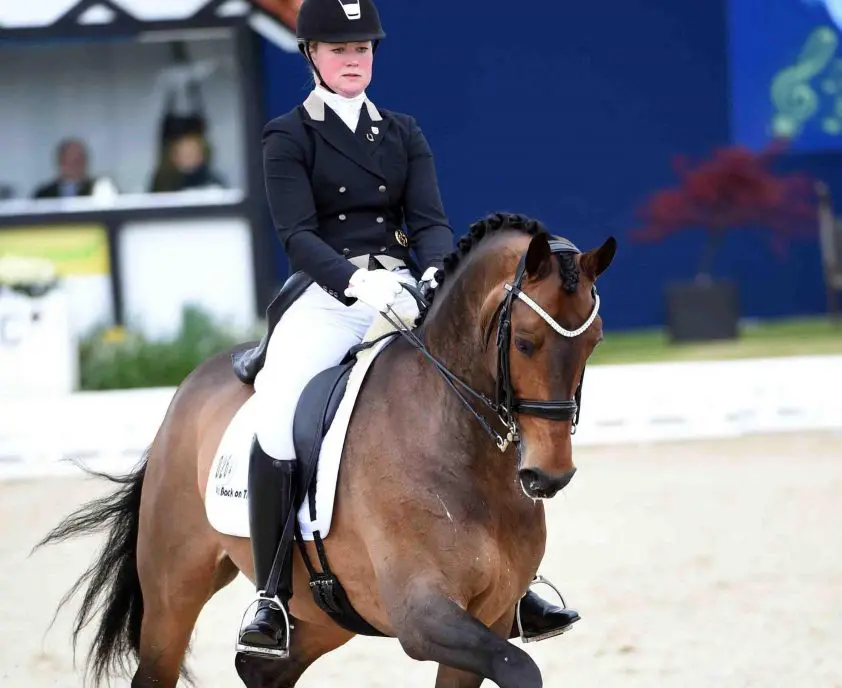 Nilsson en Foreign Affair naar zege in eerste Nürnberger Burg Pokal kwalificatie featured image