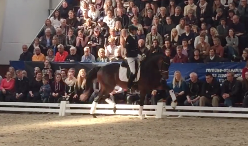 Reesink verkoopt Milione aan Helgstrand featured image