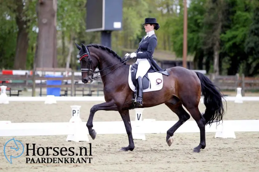 Thamar Zweistra slaat dubbelslag, Conquest tikt 70 procent aan featured image