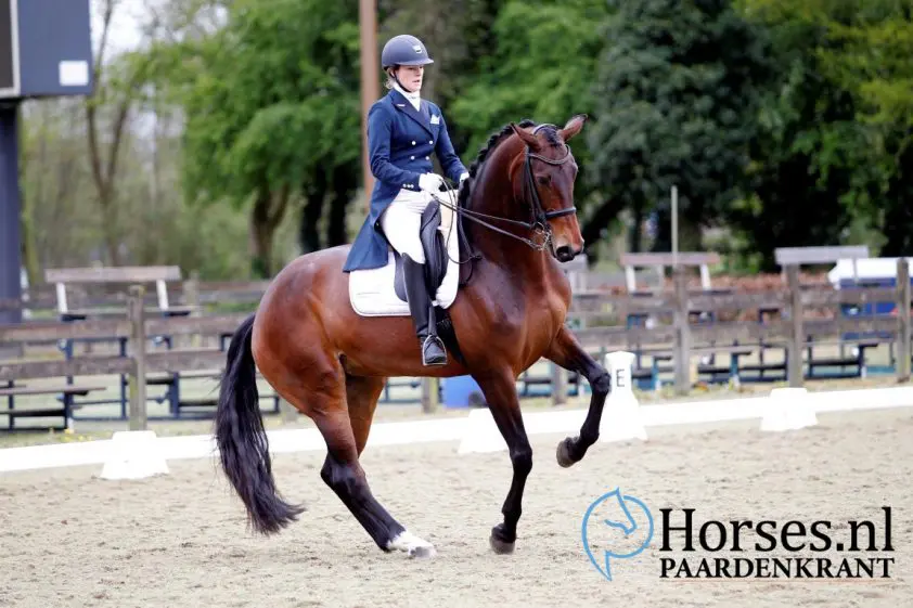 Droomdebuut Veronique Roerink en Flanell in PSG goed voor ruim 73% featured image