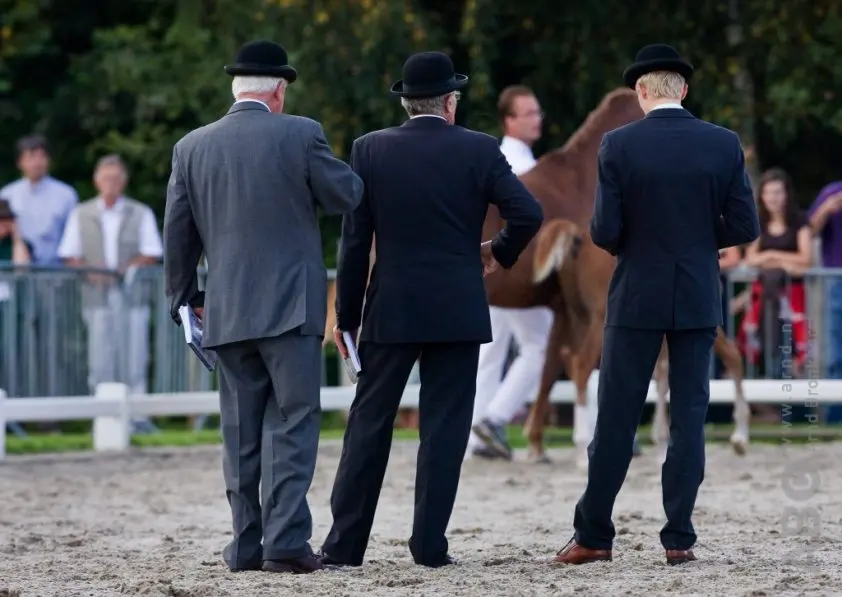 Glock’s Toto Jr.-dochter meest opvallend in Velddriel featured image