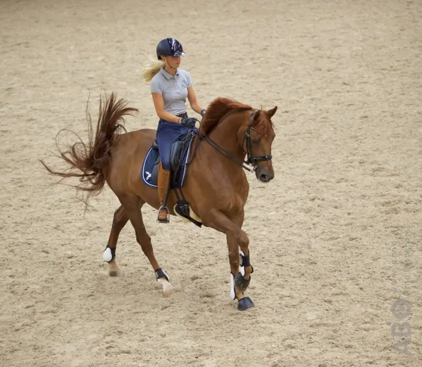 Kirsten Brouwer maakt geslaagde rentree met Alain Delon featured image