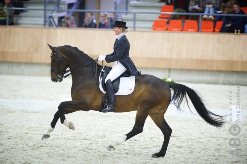 Joyce van Schaick: ‘Ik ga nog niet te hard juichen’ featured image