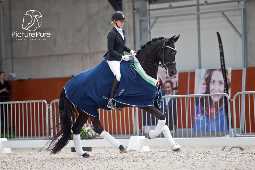 Opnieuw hoge punten voor Ivy, Houdini La Haya en Hot Game RS2 featured image