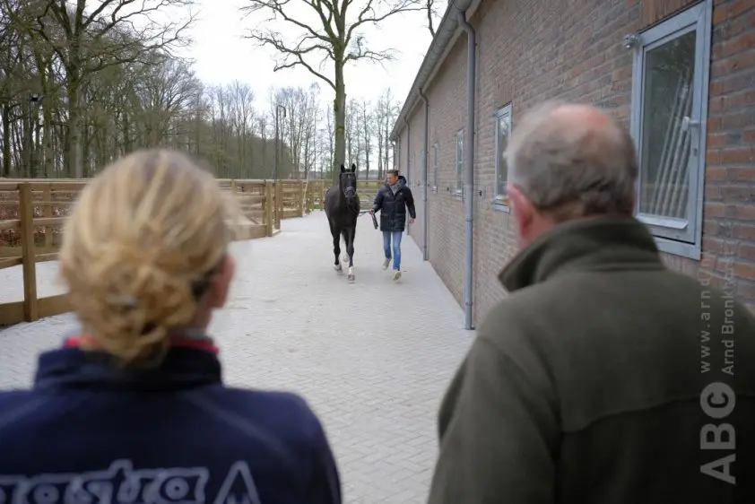 EPTM-test levert drie merries voor NMK featured image