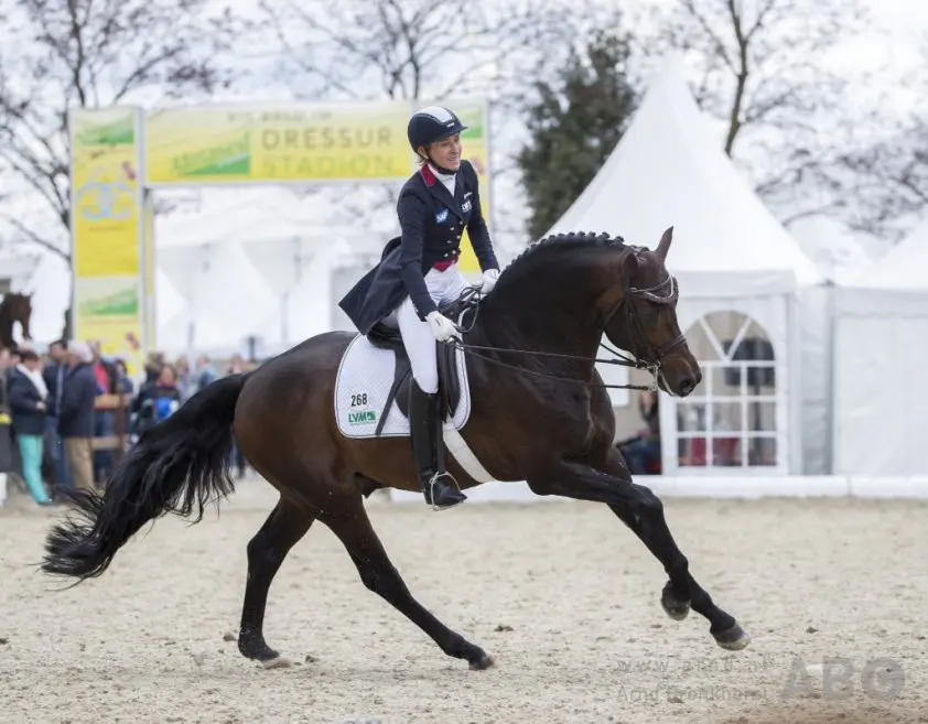 Ingrid Klimke: ‘Slofteugels zouden verboden moeten worden’ featured image