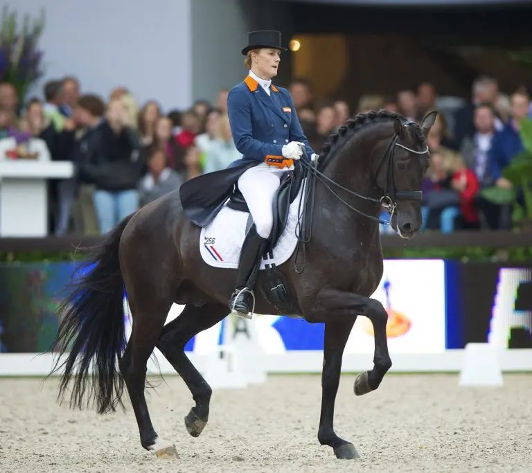 Madeleine Witte en Wynton na jaren weer buiten featured image