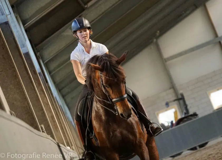 Neelke van Kollenburg: ‘Nu nog iets meer uitschieters’ featured image