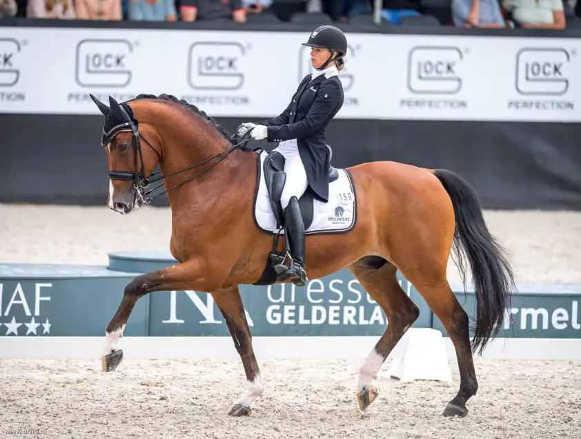 Avanti N.O.P. scoort 69,45% in Grand Prix Someren featured image